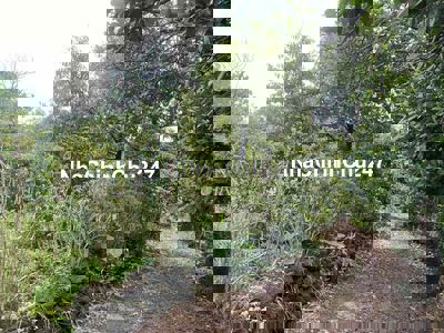 ĐẤT NÔNG NGHIỆP CÓ SẴN CÂY ĂN TRÁI (sầu riêng, mít,…) VÀ NHÀ NHỎ