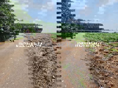 Đất sào đường nhựa