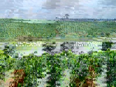 Bán Đất Vướn Thuận An Bám Đập