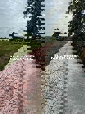 chính chủ bán 2 lô đất TT cần đước