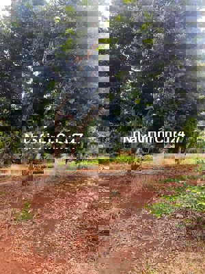 Ngân hàng thanh lý tài sản.