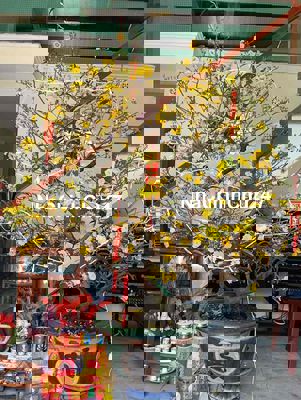 Nhà Chính Chủ Hoà Minh 15