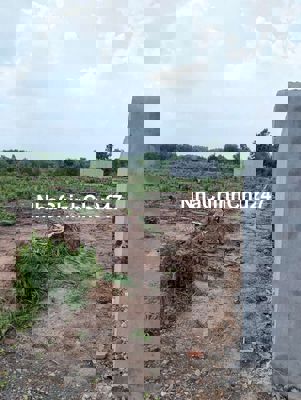 Đất giá rẻ,trung tâm Biên Hòa, p Tân Phong