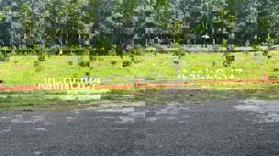 chính chủ cần bán gấp vườn mít mặt tiền DH504