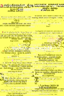 172M2 ĐẤT '' SIÊU HIẾM ĐANG NGỘP '' Ở THÁI MỸ CHỦ CHI CHỜ CHỦ MỚI