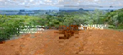 6,5 Hecta đất view đỉnh xã Dakha DakGlong Daknông 1,75ty