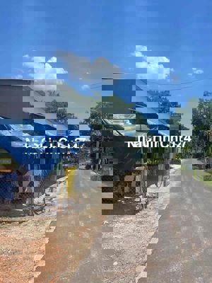 BÁN GẤP ĐẤT BẾN CÁT BÌNH DƯƠNG 1TỶ8/245m2 SHR CHÍNH CHỦ