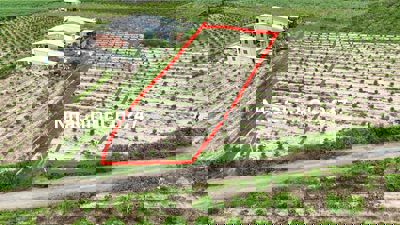 3700m2 đất Suối Đá, Dương Minh Châu, Tây Ninh