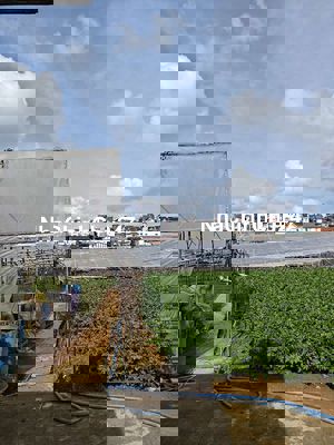 Chính chủ bán đất nông nghiệp