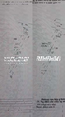 Chính chủ cần bán Thanh Tuyền, Dầu Tiếng, Bình Dương. LH chính chủ