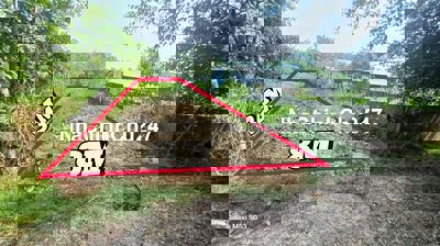 Bán Đất Chính Chủ An Điền Bến Cát Giá Tốt