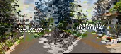 Lavila Kiến Á ở đâu rẻ hơn chủ nhà xin đền gấp 10 lần