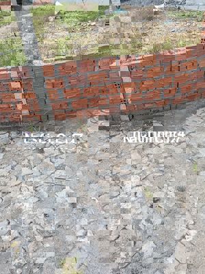 lô góc khu tái định cư hòa liên bền vững đường 5m5 hướng đông nam và