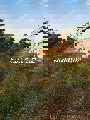 Đất thổ cư Thạnh Bình