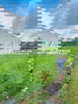 đất đường 6m thông Lục Viên . 5x40