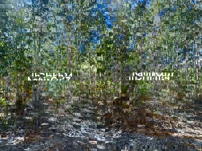 2 Mẫu Tân Xuân Hàm Tân 3 Mt Đường Nằm Khu Dân Cư Giá Ngộp