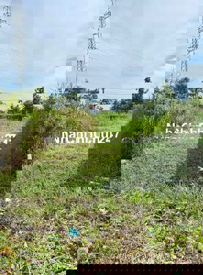 Đất nền 105m2-100% Thổ cư tại Phường 8, TP. Cà Mau