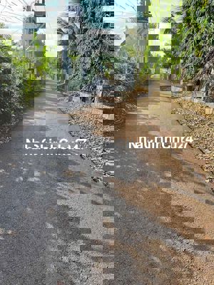 Đất Bình Lộc, khu dân cư