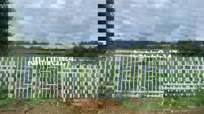 Đất Lâm Đồng giá 279tr sẵn thổ cư DT: 242m2 (7m x 33m)  117m2 thổ cư.