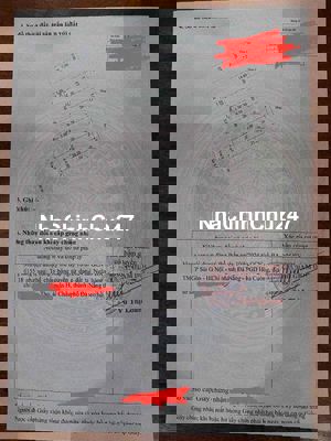 BÁN GẤP NHÀ 5 TẦNG  DO NỢ NGÂN HÀNG MT ĐƯỜNG 13m, DT 126m2,