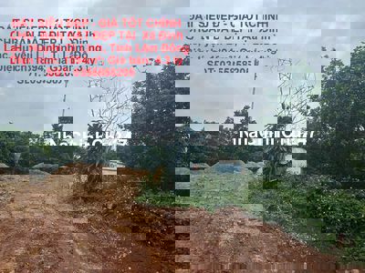 GIÁ TỐT CHÍNH CHỦ BÁN ĐẤT ĐẸP TẠI  Xã Đinh Lạc, DI LINH – LÂM ĐỒNG