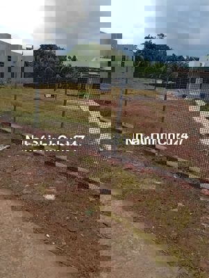 Đất vườn ngay khu dân cư