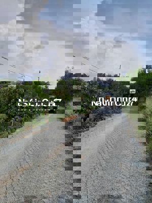 Đất sẵn vườn mít full thổ cư