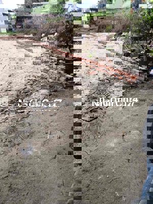 Kiệt khái tây 1. Sát Mai Đăng Chơn. P hoà quý. Giá đầu tư