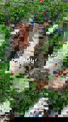 Bán 500m2 đất thổ cư hẻm nguyễn hữu thọ nhà bè