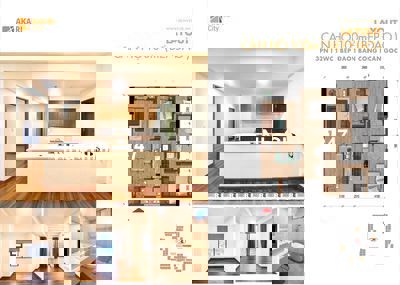 Chủ kẹt tiền cần căn hộ Akari City Phase 1, giá chỉ 4,750 tỷ, đã có sổ