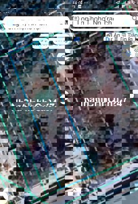 🔥 Đất  Long Thọ, Đồng Nai – Gần 500m² giá đầu tư