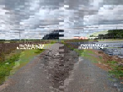 225m2 có thổ cư, đường nhựa. Chỉ hơn 300tr 1 lô. Tin được không