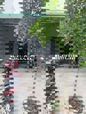 NHÀ SÂN VƯỜN, 2PN, NỘI THẤT ĐẦY ĐỦ, ĐƯỜNG XE TẢI. SÁT GÒ VẤP