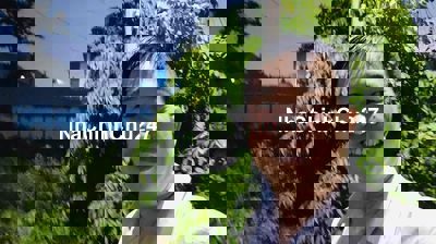 SIÊU PHẨM NGÃ TƯ MIỄU ÔNG CÙ – 220M² NGANG KHỦNG 8M - XE TẢI THÔNG