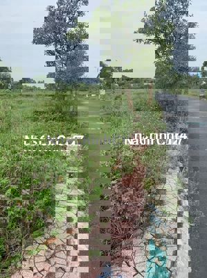 SIÊU HOT Nhanh tay đón đầu làn sóng từ cơn nóng của VINHOMES Hậu Nghĩa