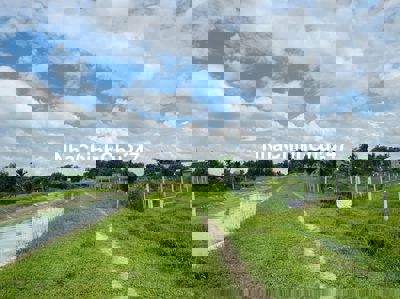 5x60 có thổ cư ngay kế bên KCN Phước Đông. chỉ 499tr