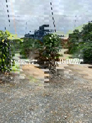 cần tiền bán gấp