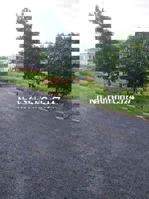 Chính chủ cần bán gấp đất vườn mít ruột đỏ siêu đẹp