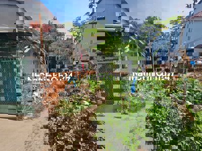 Đất gần ngã tư Bình Thung, phường Tân Đông Hiệp, TP Dĩ An.