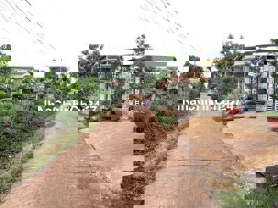 💥Đất TC 6*63m,nở hậu 10m,Đường A2,khu Phạm Ngũ Lão,thôn 4,gần Vành Đai