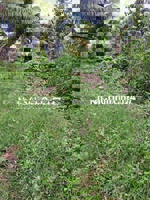 Đất thổ cư diện tích 650m giá 599tr.1nền ***.đường bà gác