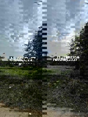 đất gần khu dân cư trường học gần chợ đường xe hơi