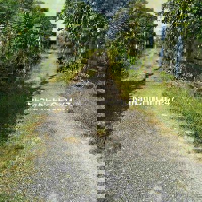 Hạ gia không tưởng, lô đất hơn 1000m full thổ và tặng căn nhà trên đất