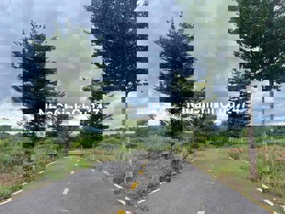 CHỦ BÁN GẤP PARK HILL 5C - LỘC AN - FULL THỔ CƯ