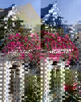 Bán Nhà Mặt Tiền Đường Bùi Tá Hán An Phú Q2- 10x16m Hầm 3 Tâng 39.5 tỷ