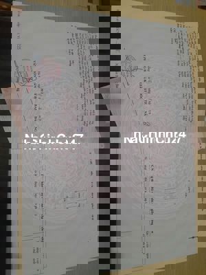 BÁN ĐẤT THỔ CƯ TẠI THÔN NAM THÀNH – HÒA PHONG 126m²