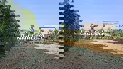 Bán đất dt 140m2 đất ở ngang 5,5m đường 5m Hòa Nhơn