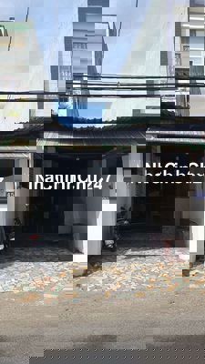 Nhà Chú Ruột Em Cần Bán , Gặp Chủ TLTT