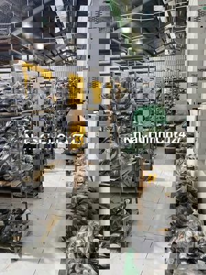 Mặt phố - Lô góc - DT 477m² - MT 14m - Kinh doanh - Chỉ hơn 60 tr/m2