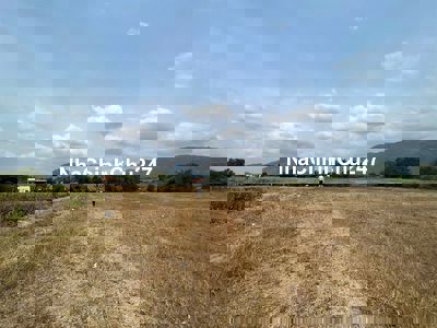 DT: 15000m2 - Đất CÓ GẦN 3.000M2 THỔ CƯ-MẶT TIỀN QL26-trung tâm khu DC